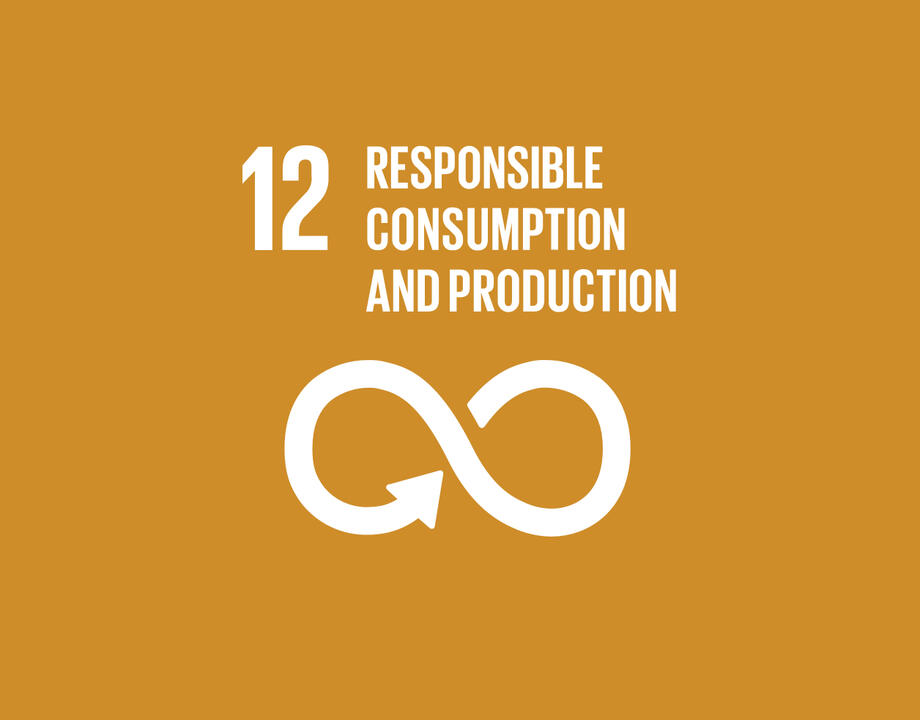 SDG 12 Responsible Consumption and Production